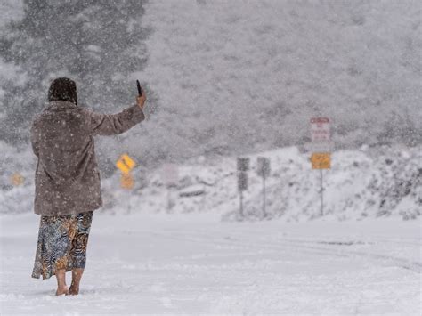 Tornado Topples Trees In LA County; Snow Falls In Hollywood | Hollywood ...