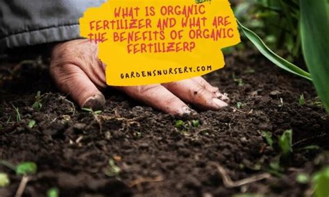 What Is Organic Fertilizer And What Are The Benefits Of Organic ...