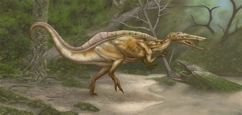 Suchomimus - Facts and Pictures