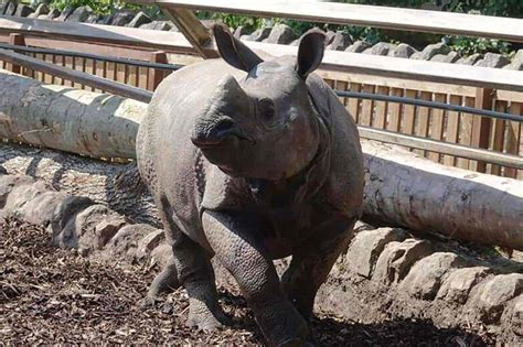 Edinburgh Zoo – Argyle Backpackers