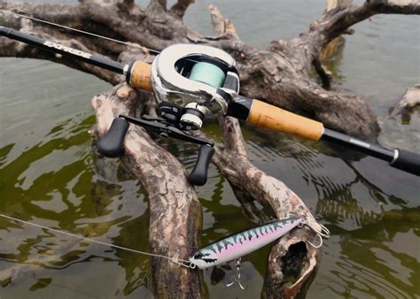 How to Choose a Spinning Rod for Fishing Adventures