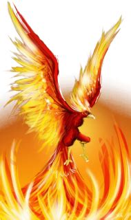 Download fire phoenix png - Free PNG Images | TOPpng