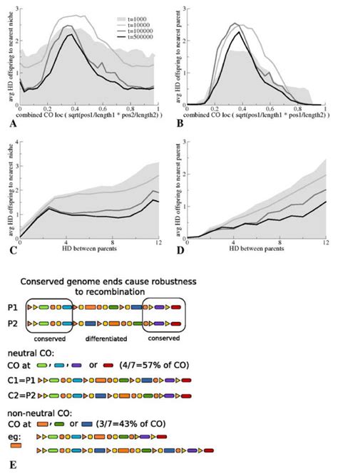 Evolution of Robustness to Recombination under Canalization. A ...