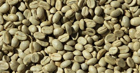 16 beneficios y propiedades del café verde