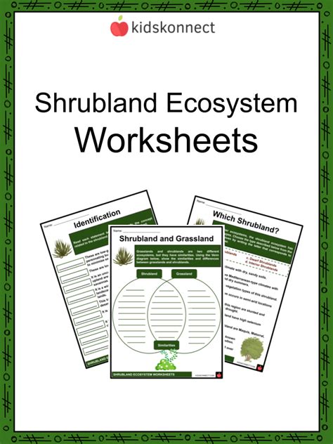 Shrubland Ecosystem Worksheets | Features, Examples, Plants