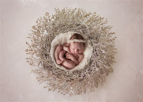 Newborn Digital Backdrop (Eternal Garden) | Newborn Digital Backdrop