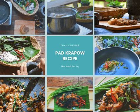 Pad Krapow Recipe (Thai Basil Chicken or Pork) - Sprouting Fam