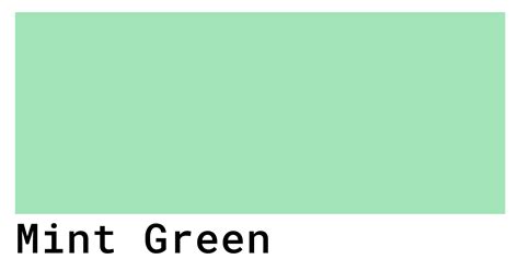 Mint Green Color Codes - The Hex, RGB and CMYK Values That You Need