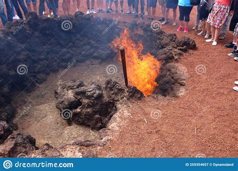 Vulcanic Landscape with Fire of the Timanfaya National Park in Lanzarote, Canary Islands, Spain ...