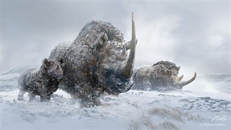 Woolly Rhinos / Prehistoric mammals :: Behance