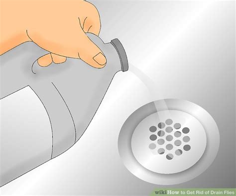 4 Ways to Get Rid of Drain Flies - wikiHow