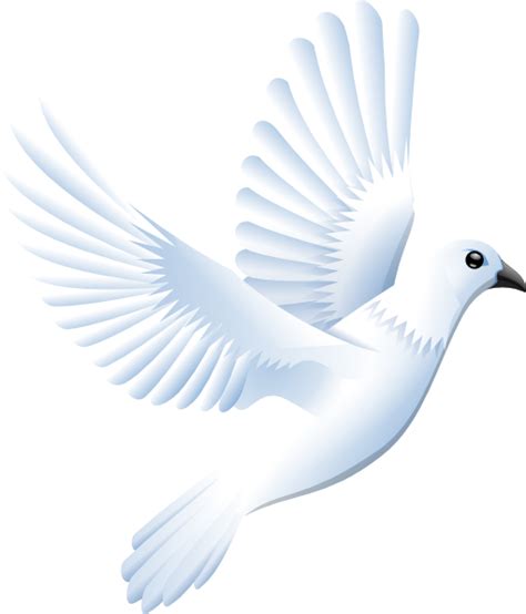 Free White Dove Cliparts, Download Free White Dove Cliparts png images ...