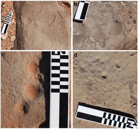 2. Examples of bedrock features that fall into the Cluster 1 morphology ...