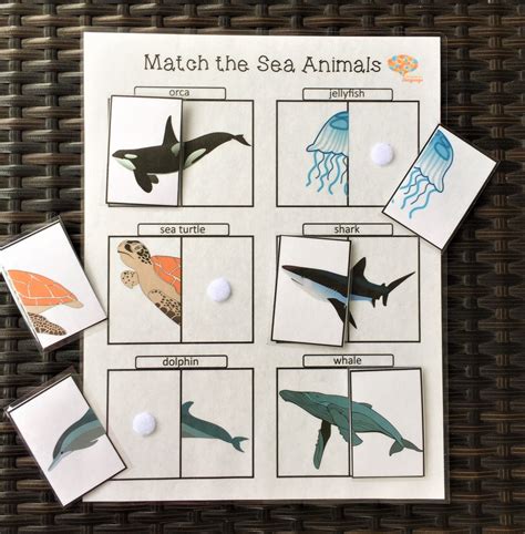 Match the Sea Animals! Match the Front and Back Halves, Mixed Position ...