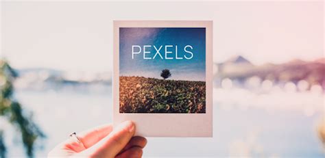 Pexels: Free videos and photos to download - Apps on Google Play