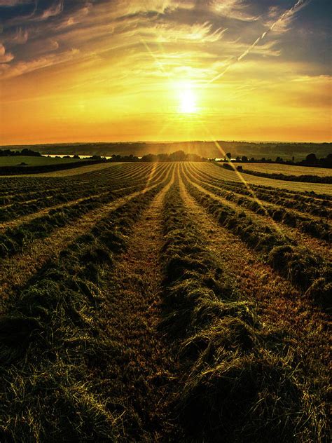 Sunset over the farm field Photograph by Dafydd Jones - Pixels