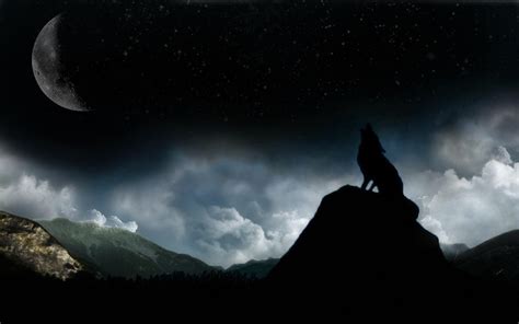 Dark Wolf Wallpapers - Top Free Dark Wolf Backgrounds - WallpaperAccess