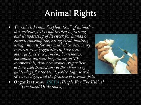 PPT - Animal Rights vs. Animal Welfare PowerPoint Presentation, free download - ID:5338696