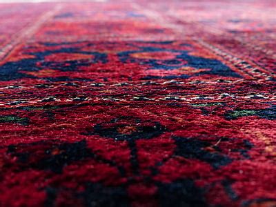 Royalty-Free photo: Red and blue floral area rug in low angle photography | PickPik