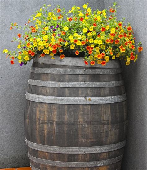 15 Impressive DIY Wine Barrel Planters That You Can Make In No Time