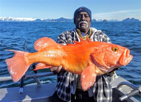 Summertime Saltwater Alaska Fishing Adventures - Soldotna B&B Lodge