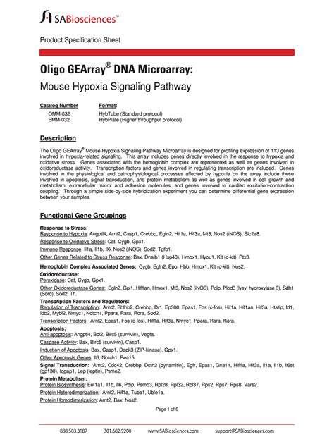 Fillable Online biomol RT2 Profiler PCR Array - biomol Fax Email Print - pdfFiller