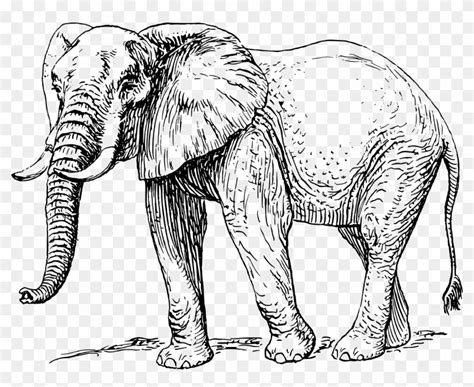 Free Elephant Clipart Black And White, Download Free Elephant Clipart Black And White png images ...