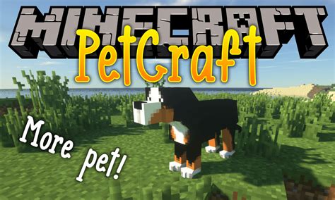 PetCraft Mod 1.12.2 (Adds a Variety of Cute Pets) : (The mod is still in creation, so there are ...