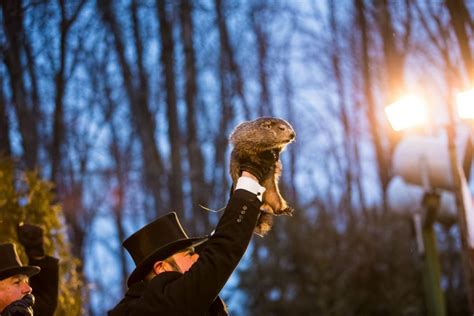 Groundhog Day continues old traditions | The Daily Illini