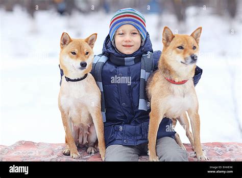 boy and a cute dog concept of friendship Stock Photo - Alamy