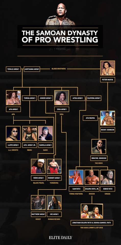 Samoan Strength: The Rock's Family Tree Is A Wrestling Dynasty (Photo)