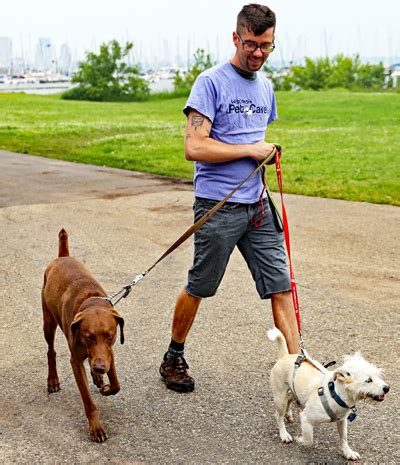 Dog Walkers, Dog Walking Service near Milwaukee | Wisconsin Pet Care