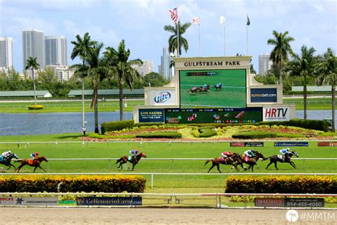 Gulfstream Horse Racing - A Total Win - Mitch And Mel Take Miami ...