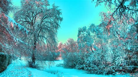 Sunny Winter Landscape Wallpapers - Wallpaper Cave