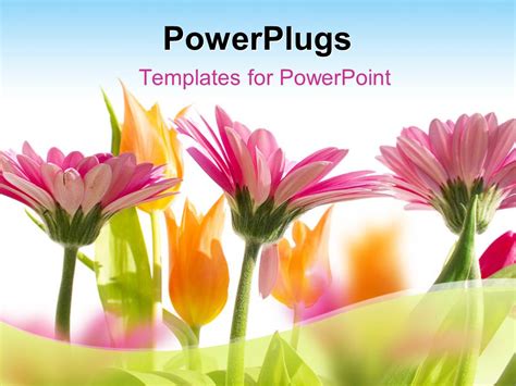 PowerPoint Template: multi color flowers blossom in spring with sky (12591)