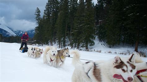 Winter in Montana -- National Geographic