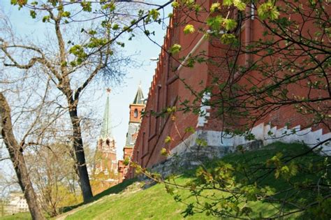 Kremlin Wall Behind Spring Branches Free Stock Photo - Public Domain Pictures