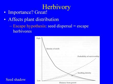 Herbivory. - ppt download