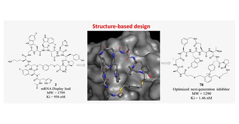 Series of Novel and Highly Potent Cyclic Peptide PCSK9 Inhibitors Derived from an mRNA Display ...