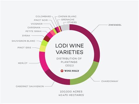 Lodi Wine Guide (with Maps) | Wine Folly