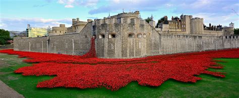 Tower of London Poppies Jigsaw Puzzle