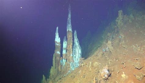 Deep-sea volcanoes: Windows into the subsurface | Science Codex