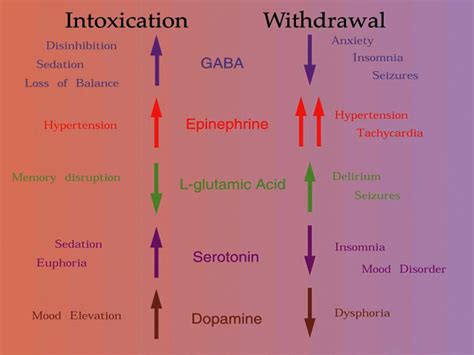 Life Liveliness: Estimating the alcohol withdrawal symptoms loop since ...