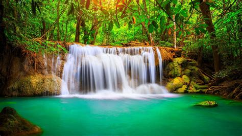 Wonderful Tropical Waterfall Blue Water Nature Forest With Green Trees 4k Uhd Background For ...