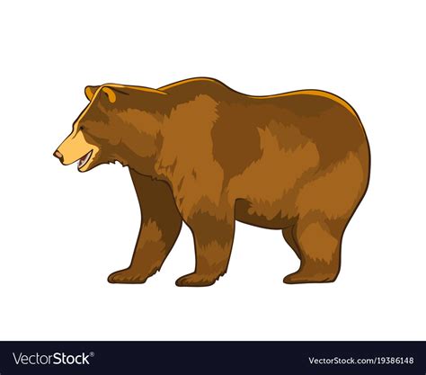 Color of bear grizzly isolated Royalty Free Vector Image