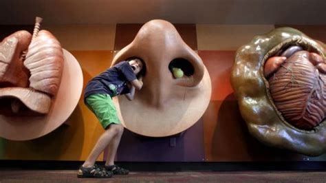 10 things you didn't know about Tucson's children's museum | to do | tucson.com