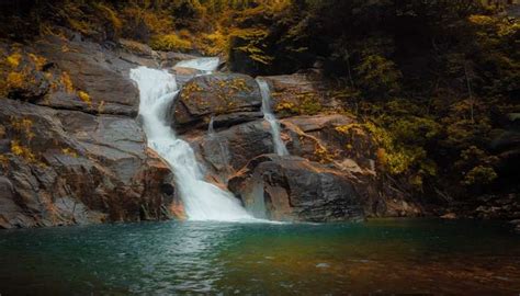 Valparai Trekking Lets You Embrace Nature's Serenity