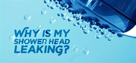 Why Is My Shower Head Leaking? - NIR Plumbing