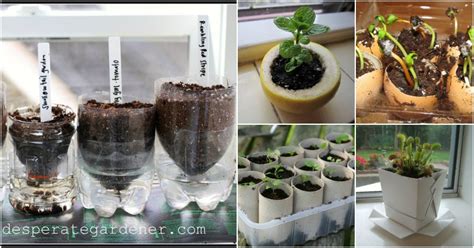 20 Upcycled Seed Starter Pots You Can Easily Make At Home - DIY & Crafts