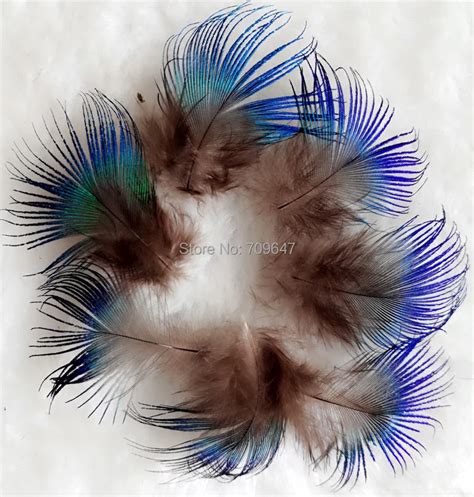 Cheap! 100pcs/Lot Approx 2 4cm long BLUE PEACOCK BODY PLUMAGE FEATHERS,Small Peacock Plumage ...